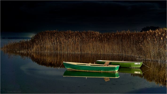 S C H I L F Z W E I E R