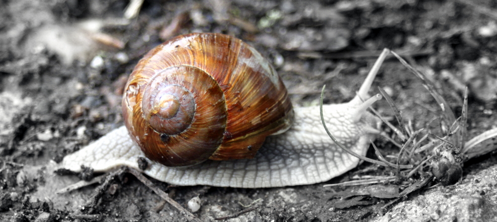 s c h n e l l aus dem Weg!