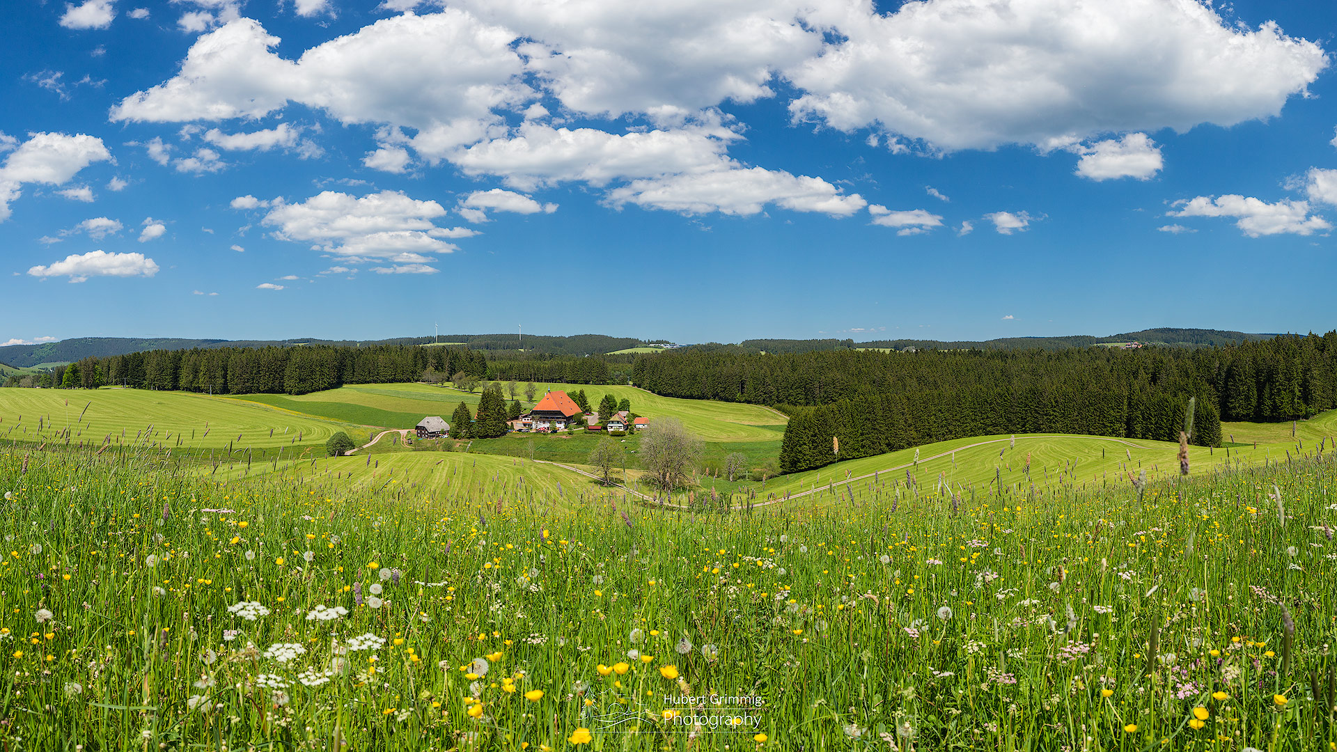 S C H W A R Z W A L D P A N O R A M A Foto Bild Deutschland Europe Baden Wurttemberg Bilder Auf Fotocommunity