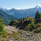 S-charl  Cruschetta im Engadin