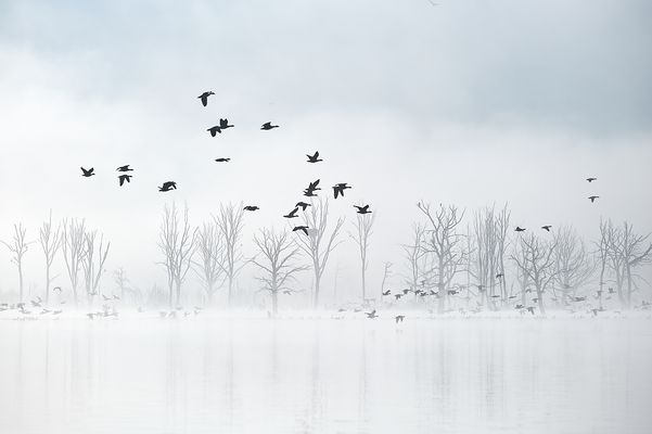 s e a s o n s . m o v e m e n t