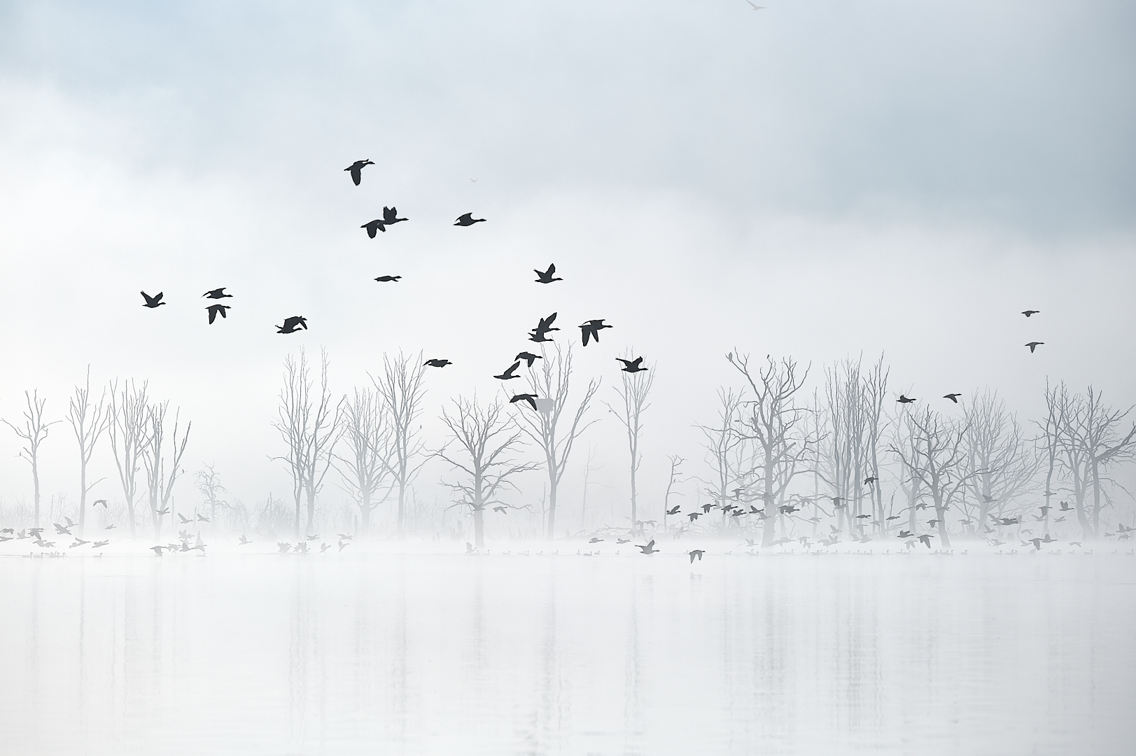 s e a s o n s . m o v e m e n t