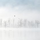 s e a s o n s . s t a r t