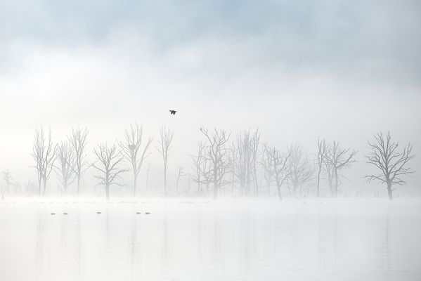 s e a s o n s . s t a r t