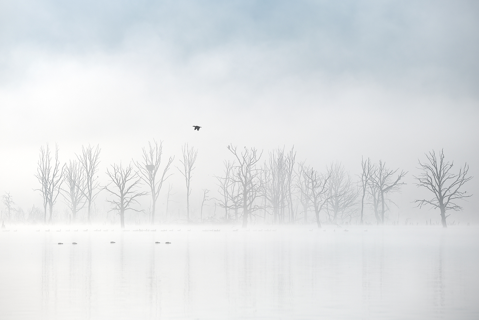 s e a s o n s . s t a r t