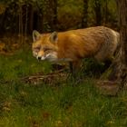 s e h r . v o r s i c h t i g 