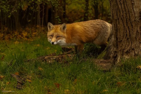 s e h r . v o r s i c h t i g 