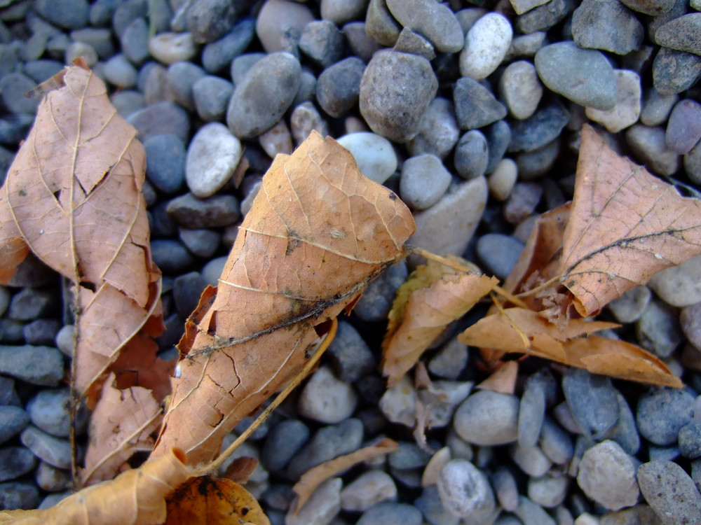 ´s herbschtlet