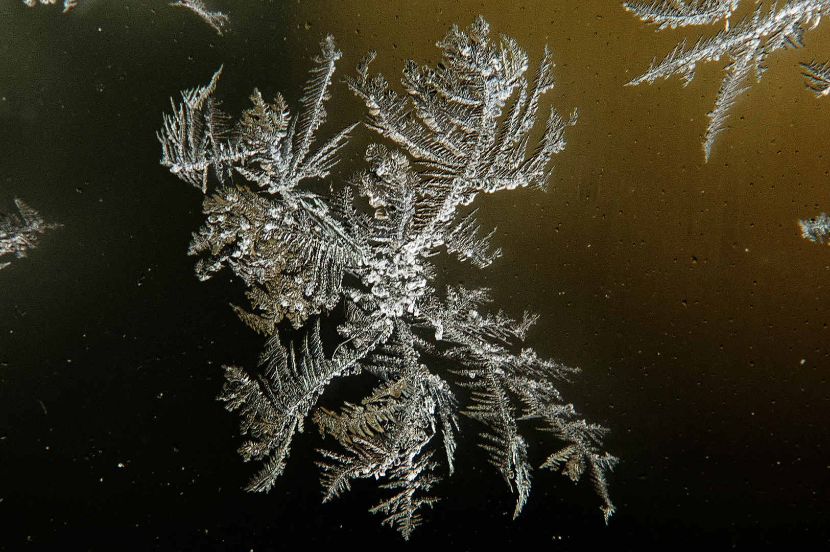 's ist viel zu heiß, hab Sehnsucht nach Eisblumen am Fenster