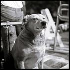User Profile Photo