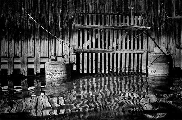 S P I E G E L W E L L E N