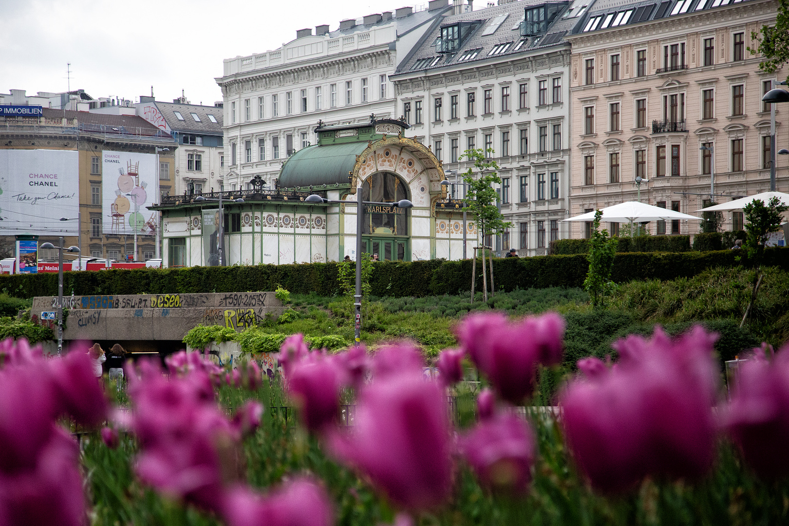 ´s Tulpenzeit in Wien