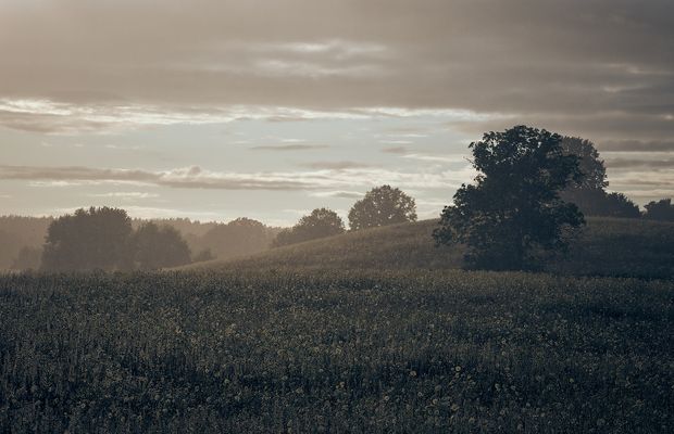 s u m m e r . r a i n