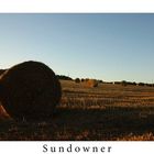 S U N D O W N E R