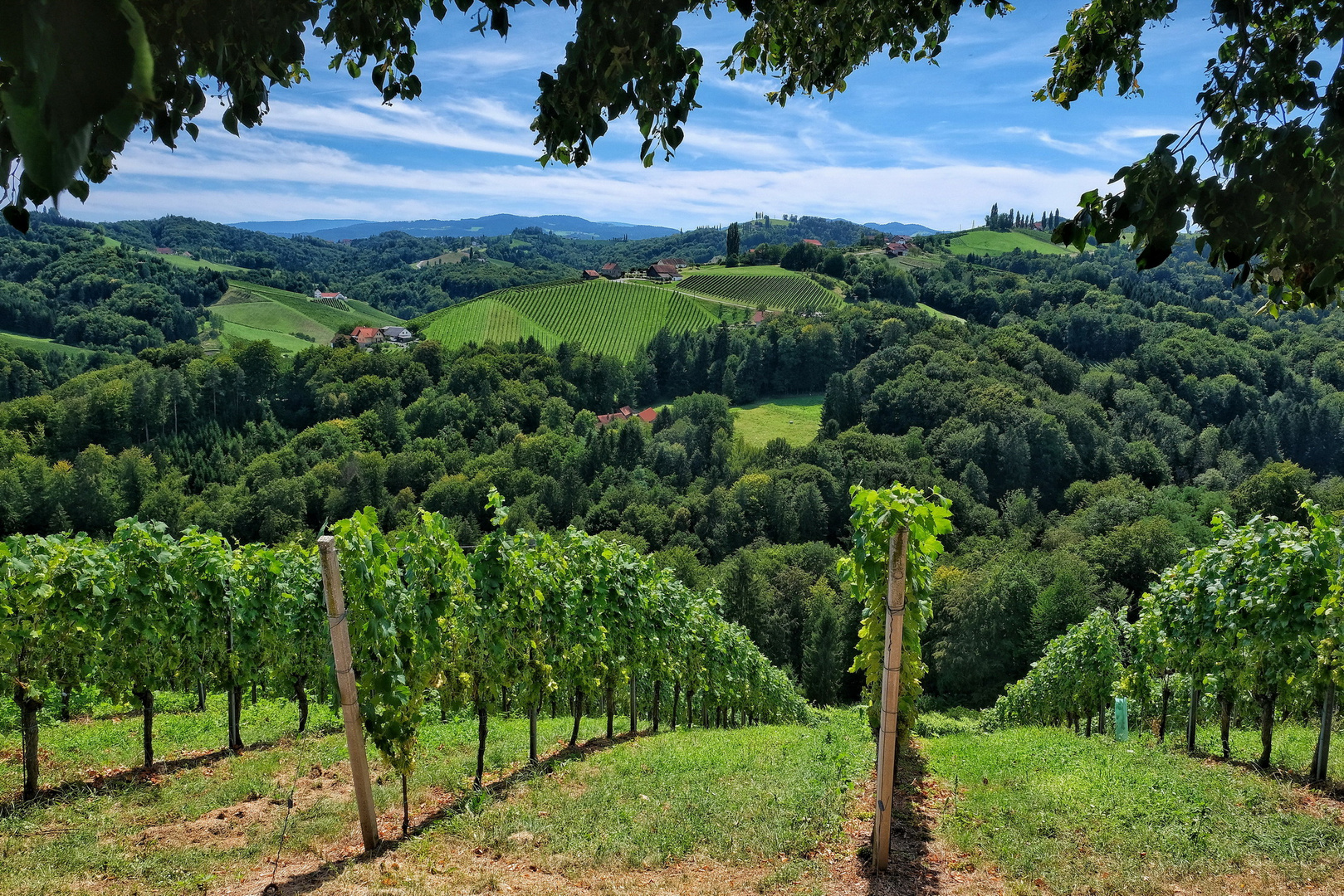 S U D S T E I E R M A R K W E I N Foto Bild World Natur Osterreich Bilder Auf Fotocommunity