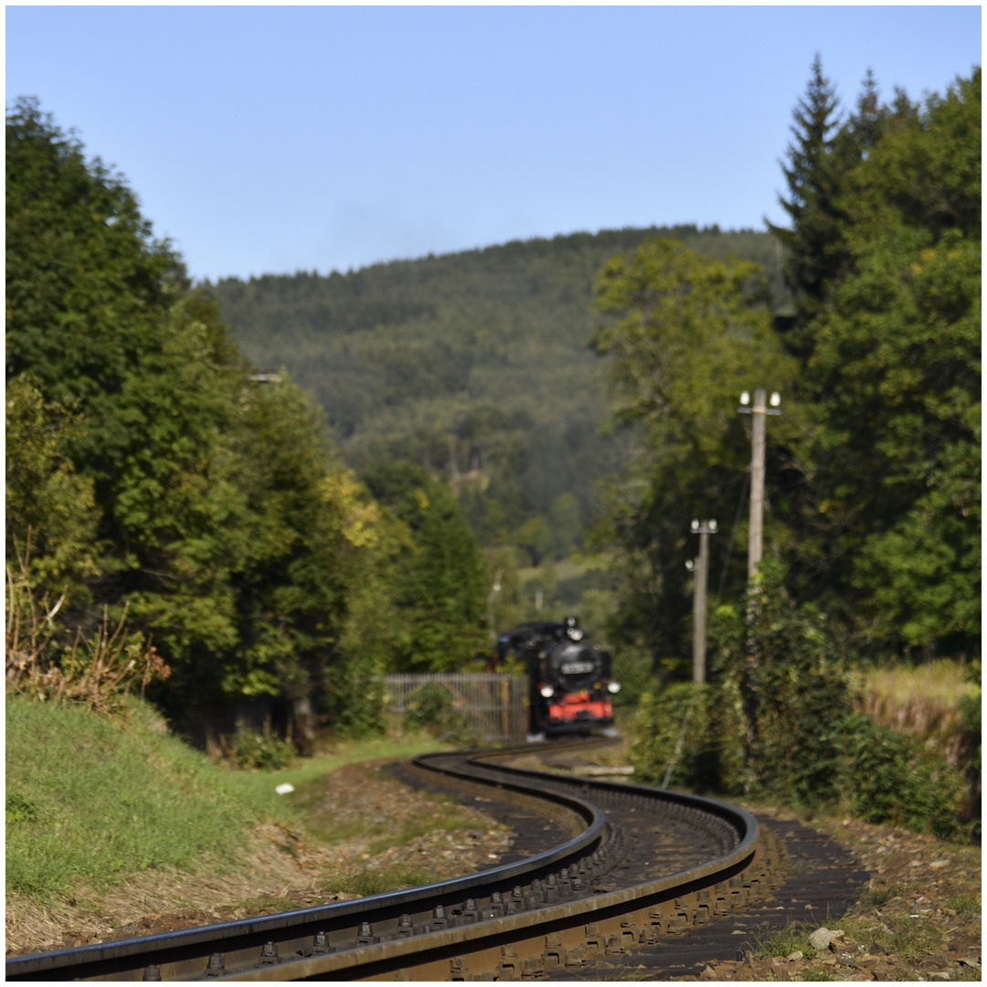 S und mehr  -  Sommer in O-Tal  XIII