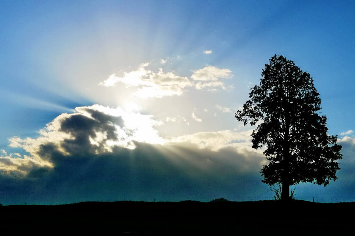 's Wetter kommt