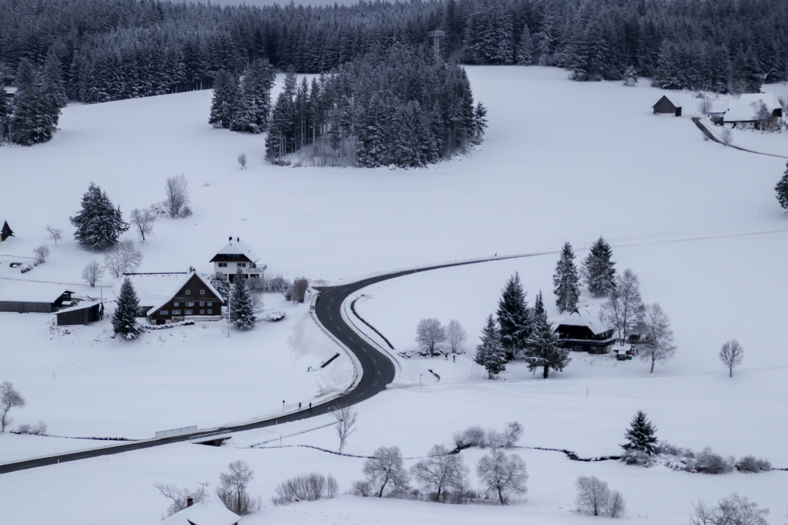 S wie SCHWARZWALD