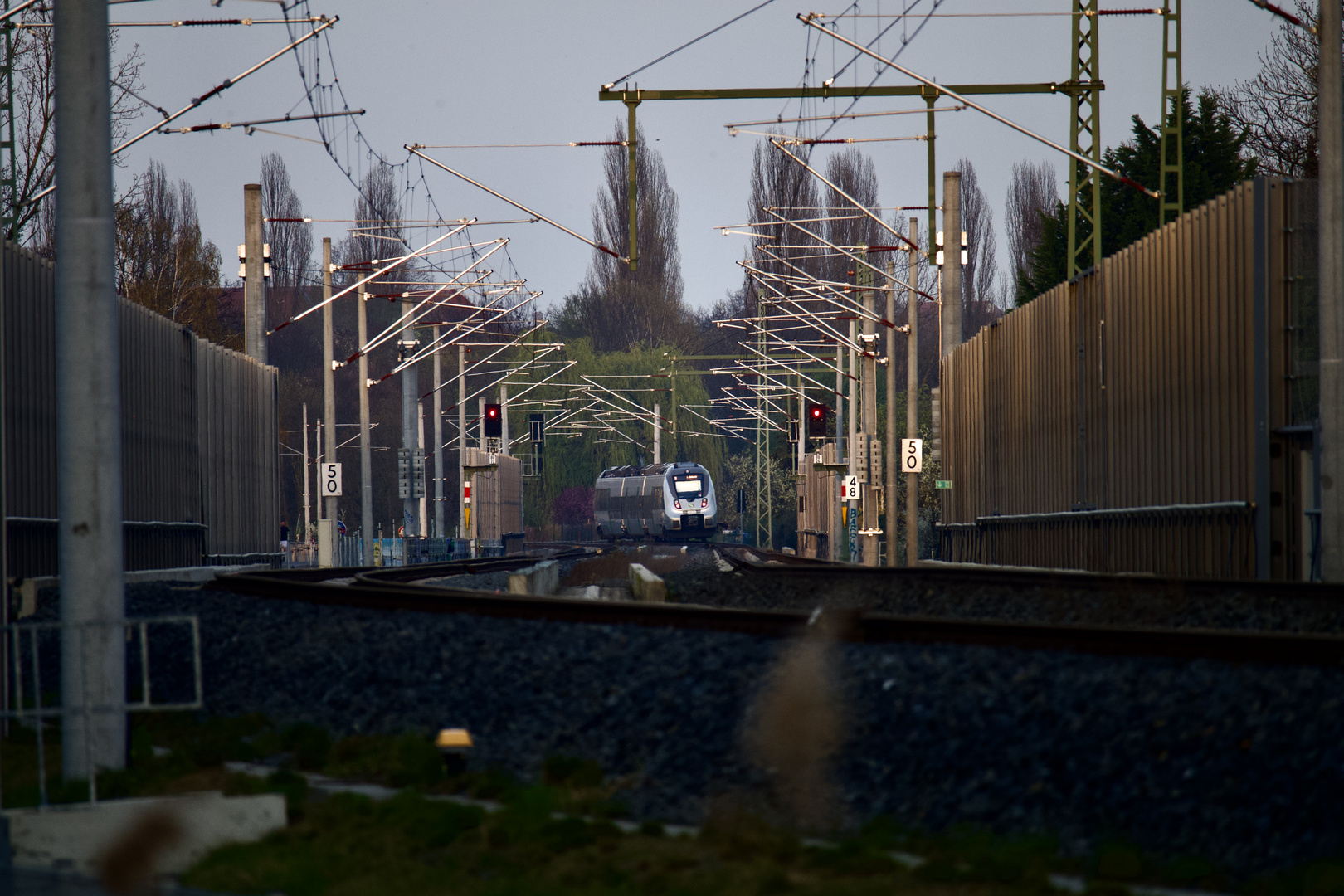 S1 mit Möckern im Blick