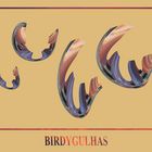 S_10_BJ_01_BirdyGulhas