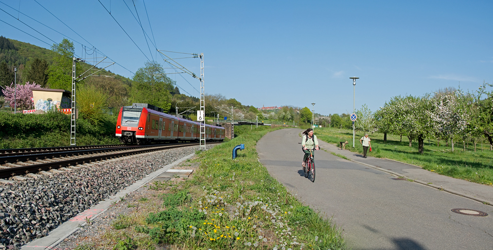 S8 nach Kaiserslautern