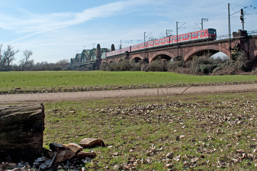 S9 auf dem Weg in die Landeshauptstadt