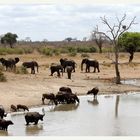 SA #6 - N'watinungu Waterhole