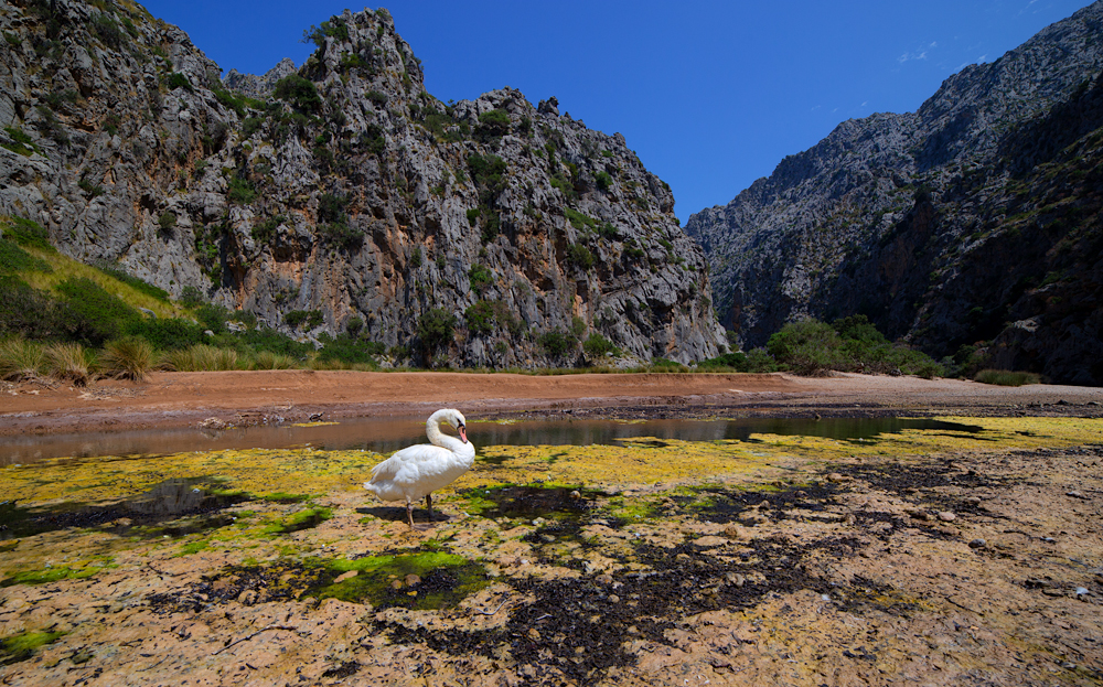 Sa Calobra