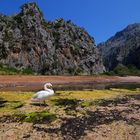 Sa Calobra