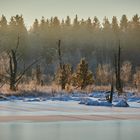 SA im Winter im Schwenninger Moos