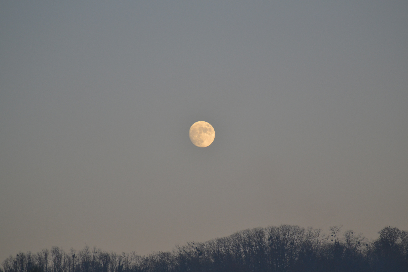 sa majesté la lune