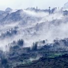 SA PA im NEBEL - Nordvietnam