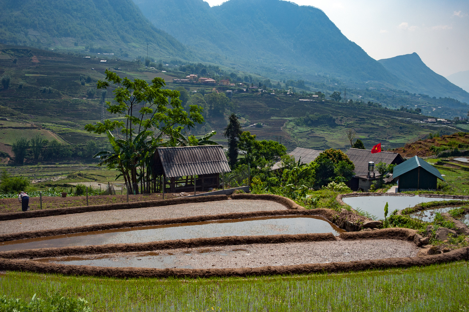 Sa Pa paddy fields