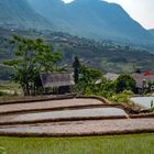 Sa Pa paddy fields