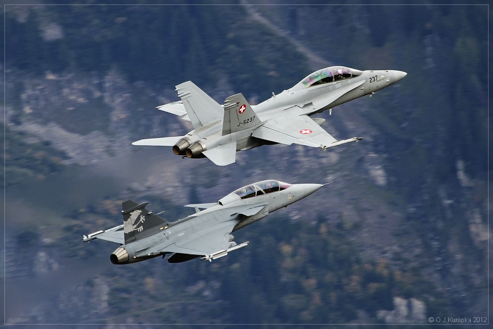 Saab Gripen und F/A 18 Hornet