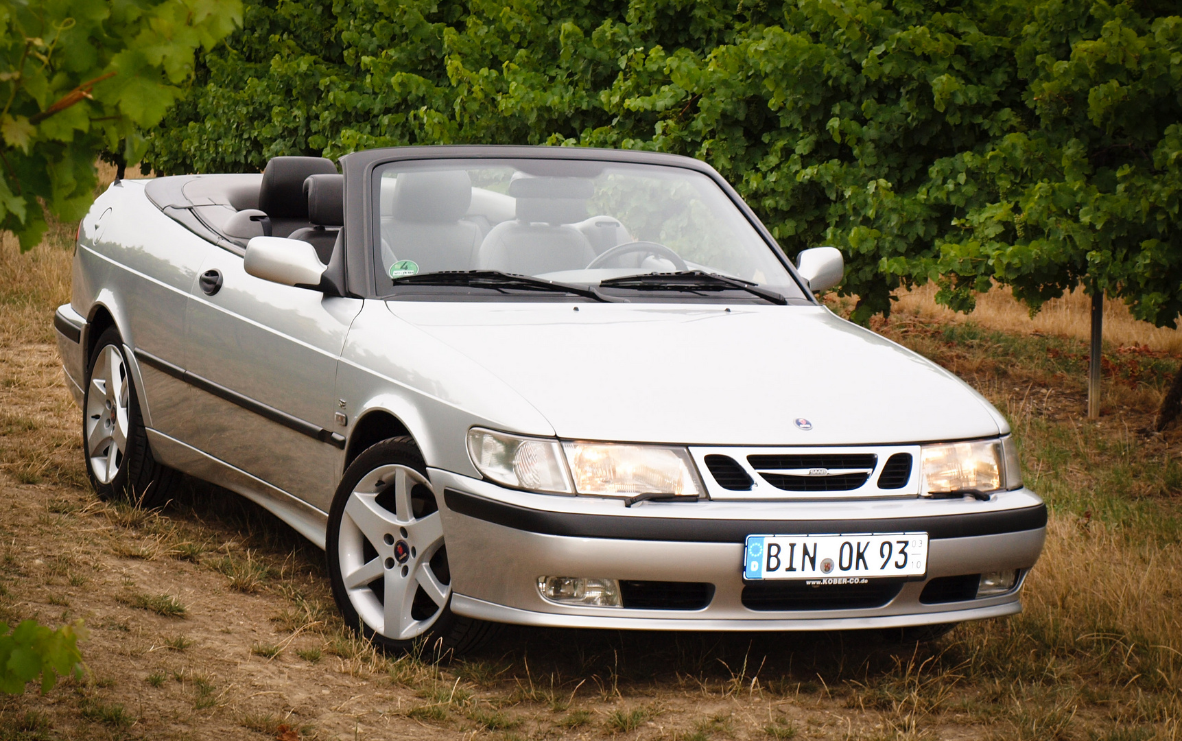 Saab im Wein