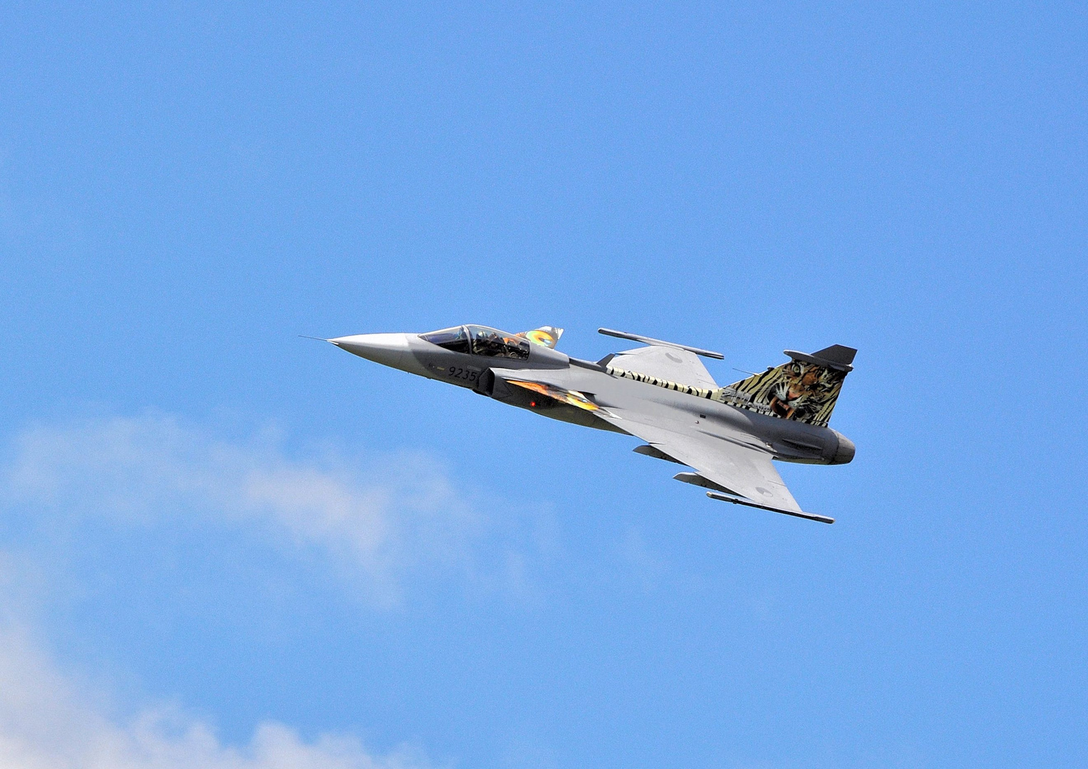 Saab JAS 39 Gripen ( Tschechische Luftwaffe )