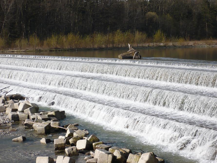 Saalachwehr bei Hammerau 2