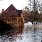 Saale-Hochwasser #4