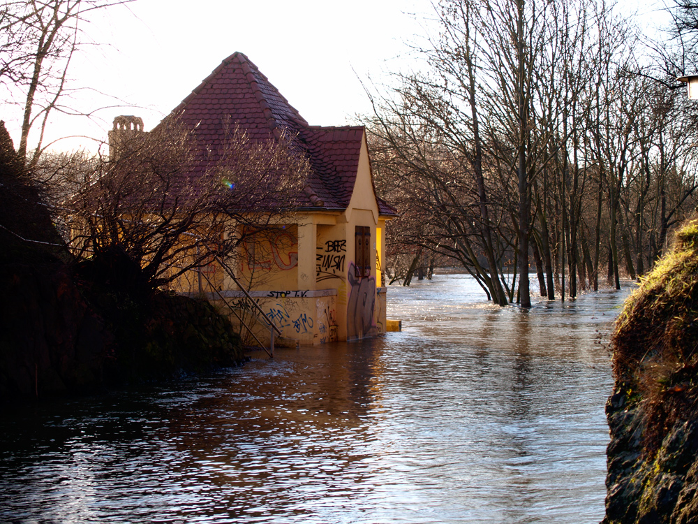 Saale-Hochwasser #4