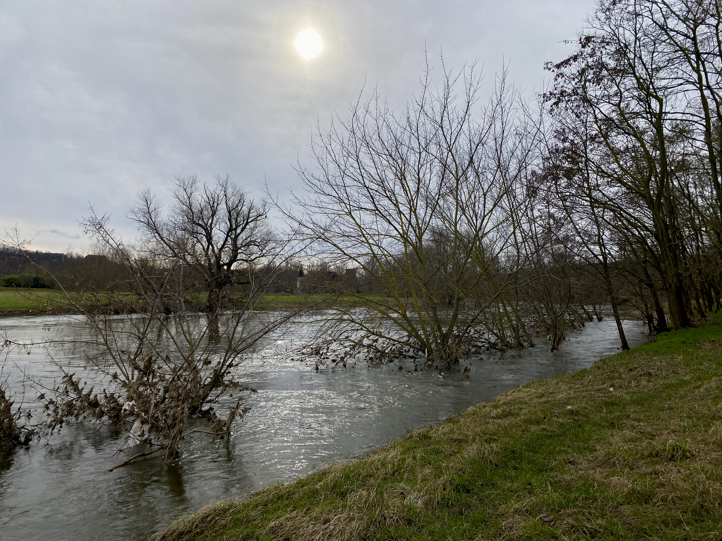 Saale Hochwasser