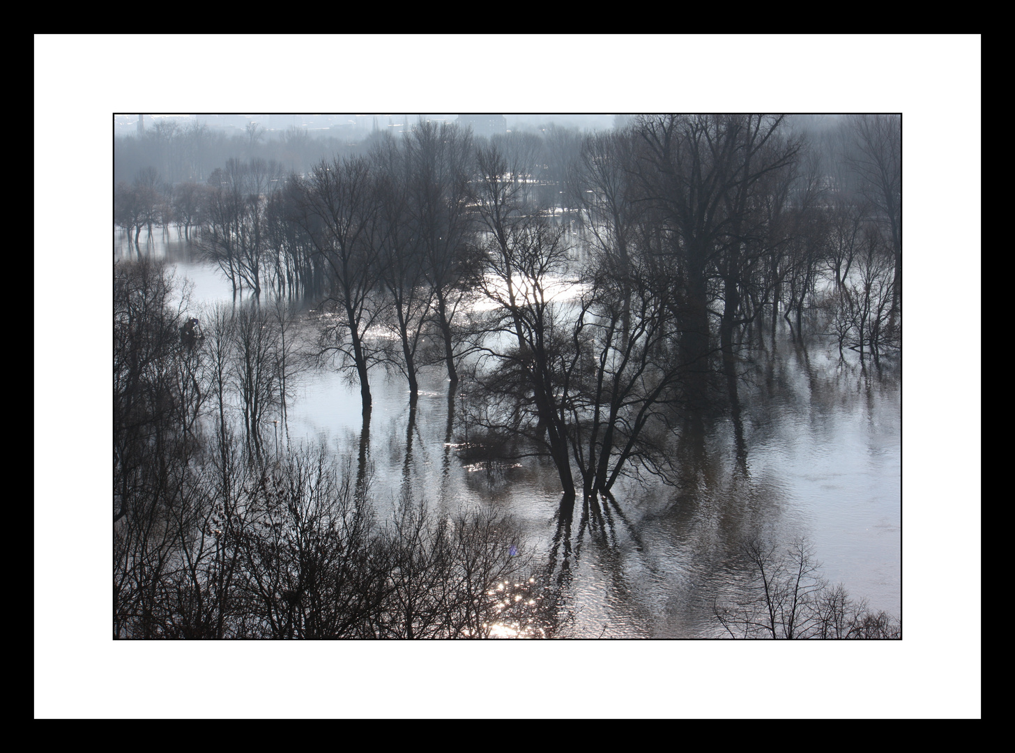 saale-hochwasser in halle