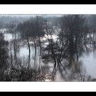 saale-hochwasser in halle