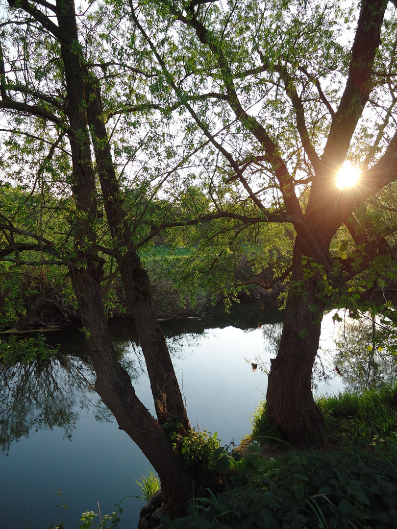 Saale im Abendlicht