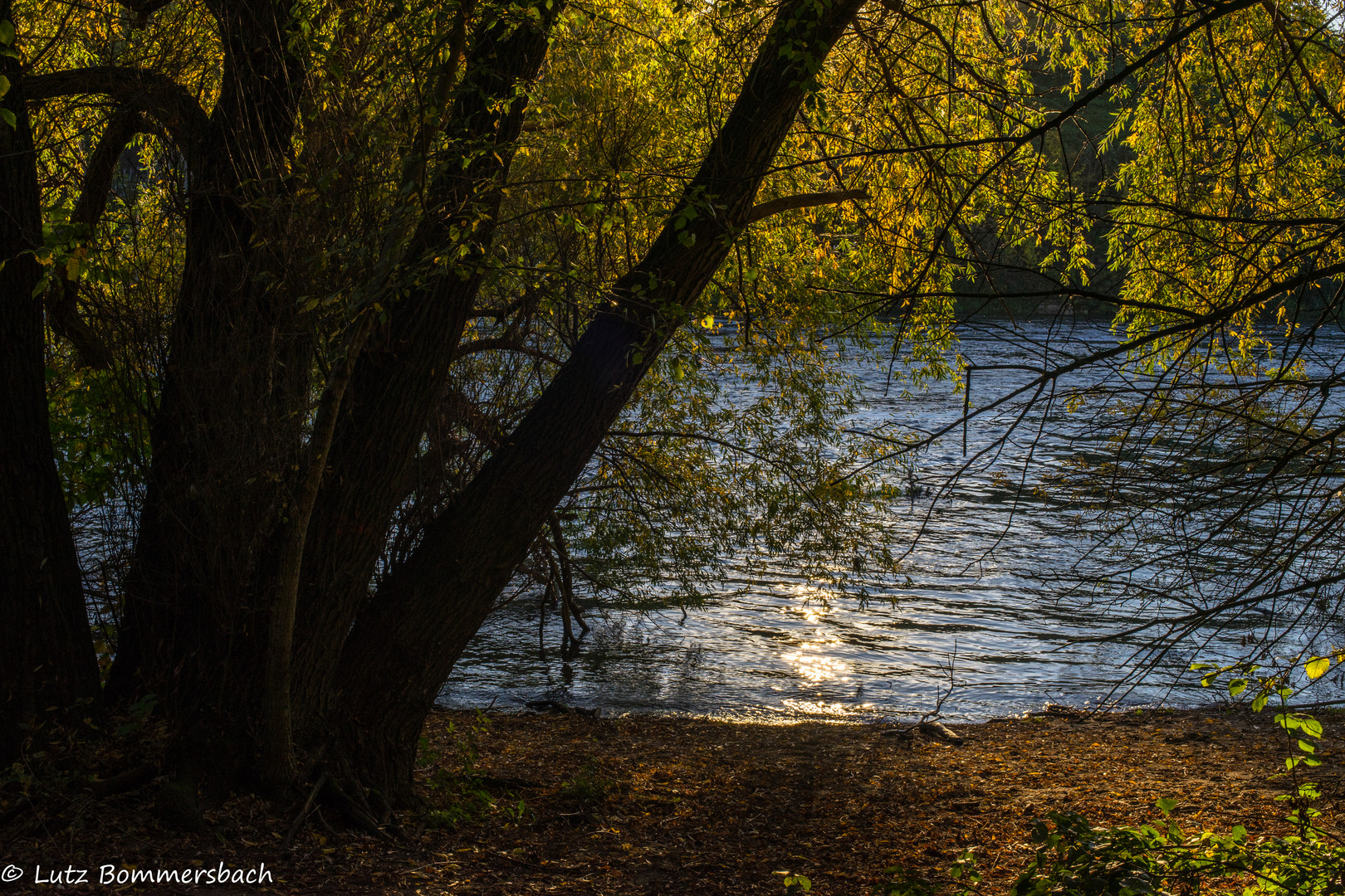 Saale im Herbst