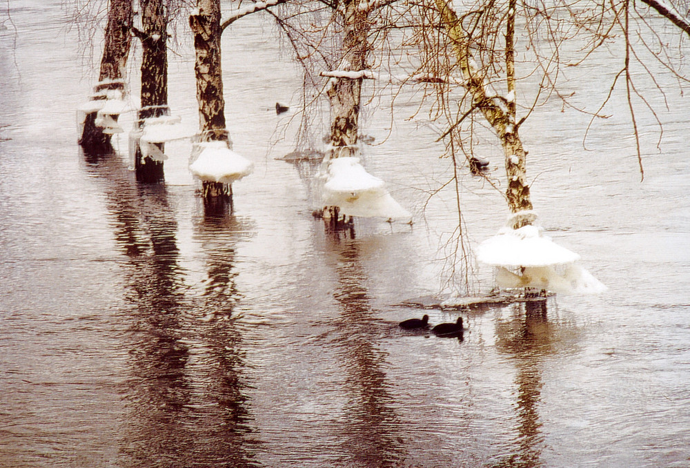 Saale nach Hochwasser von Peter Windhövel