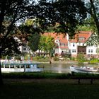 Saale-Ufer bei Halle