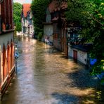 Saalehochwasser 2013 - #2