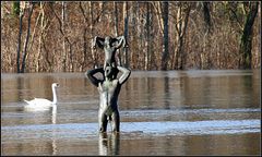 Saalehochwasser