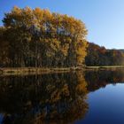 Saaleidylle im Herbst